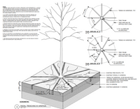 Radial Trenching