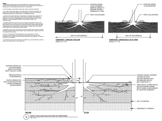 Root Collar Excavation