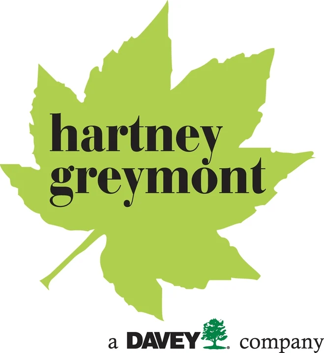Green maple leaf logo with 'hartney greymont' text on a white background