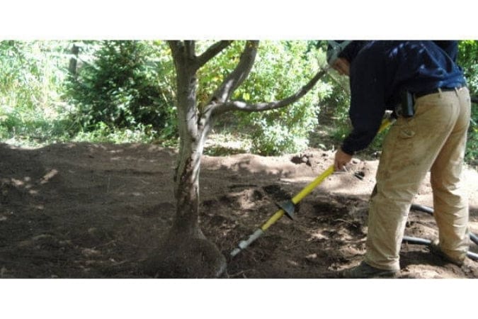 Person using an AirSpade to dig around a tree in a forest setting