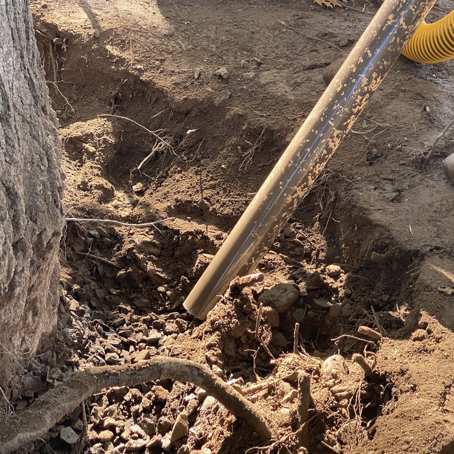 AirSpade Vac Vacuum Excavator in Use - Arbor Wand Closeup