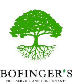 Bofinger's Tree Service