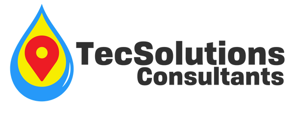 TechSolutions Consultants
