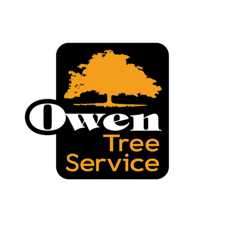 Logo of Owen Tree Service with an orange tree and text on a white background