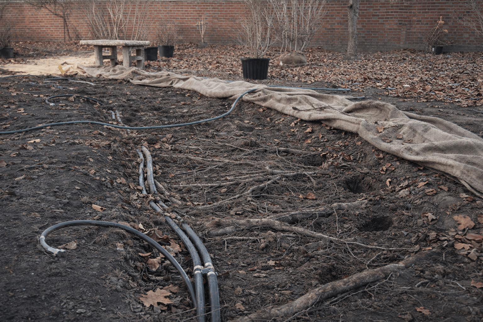 Dug up garden with soil, utility lines, tree roots, and a tarp with n a brick wall  in the background.