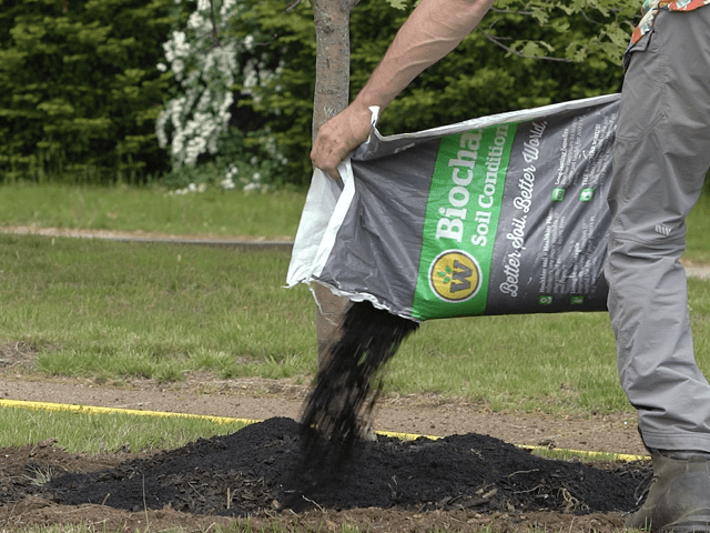 Soil